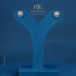 GOLD EARRINGS | 2.66 Gram